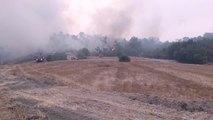 Son dakika haberi! Orman yangınına müdahale sürüyor (3)