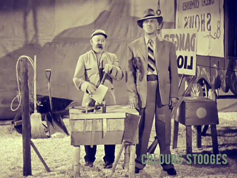 Comedy stooges |Three stooges comedy| |Stooges in Circus