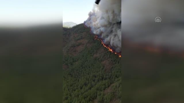 Marmaris'te çıkan orman yangınına müdahale ediliyor