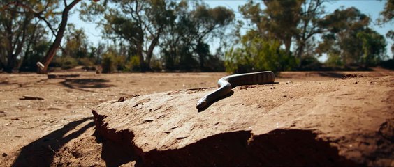 Buckley's Chance Trailer