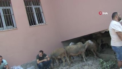 Ölen yaşlı çiftin oğlu konuştu... "Yangını telefonla arayıp haber verdiler"