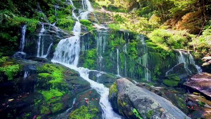 BRAZIL 8K HDR 60FPS _ UNIQUE PLACES IN BRAZIL _ BRAZIL 8K DRONE FOOTAGE