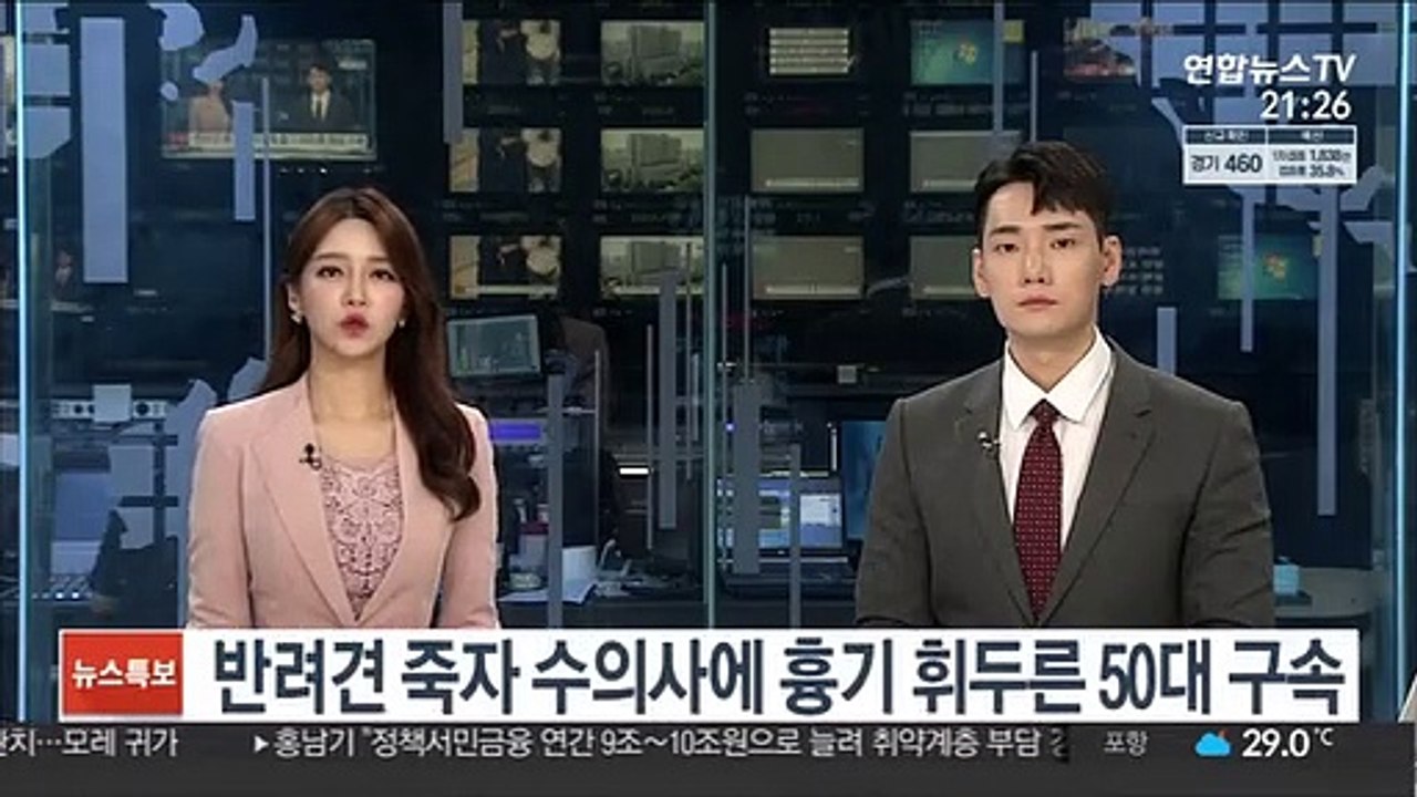 반려견 죽자 수의사에 흉기 휘두른 50대 구속