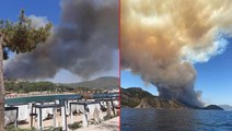 Son Dakika: Türkiye'nin güneyi yanıyor! Antalya'dan sonra Bodrum ve Didim'de de yangın çıktı, alevler yerleşim yerlerine yaklaşıyor