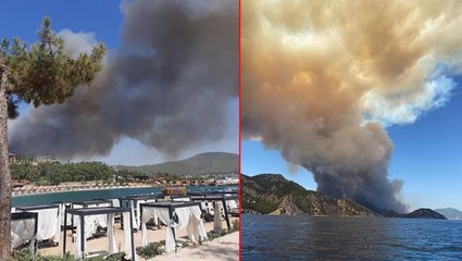 Son Dakika: Türkiye'nin güneyi yanıyor! Antalya'dan sonra Bodrum ve Didim'de de yangın çıktı, alevler yerleşim yerlerine yaklaşıyor