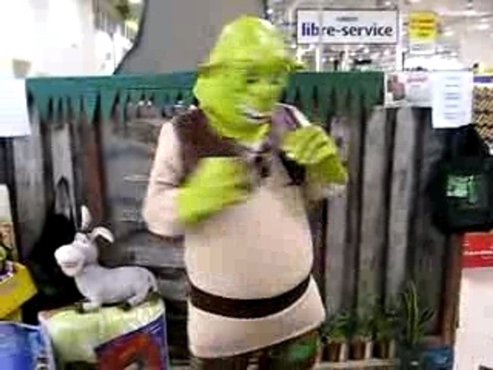Video shrek