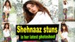 Shehnaaz Gill looks drop dead gorgeous in her latest photoshoot