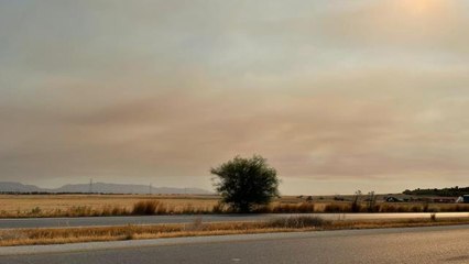 Türkiye'deki orman yangınlarının etkisi KKTC'de hissedildi