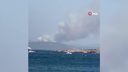 Son dakika haberleri! Bodrum'da orman yangını