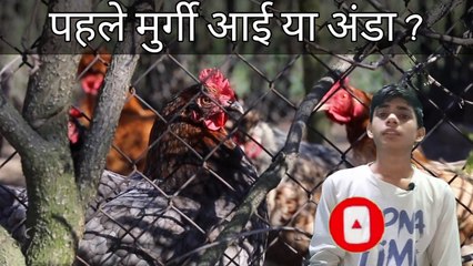 Which is come first hen and egg ? | पहले मुर्गी आई या अंडा इस वीडियो में इसका जवाब है |