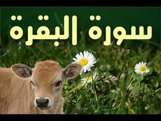 Coran Lu en Français par Marie Kettani.