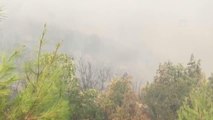 Son dakika haberleri! Alanya'da çıkan orman yangınına havadan ve karadan müdahale ediliyor (2)