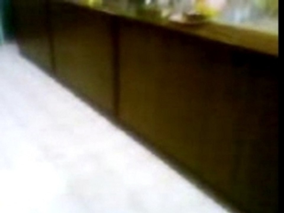 Video013