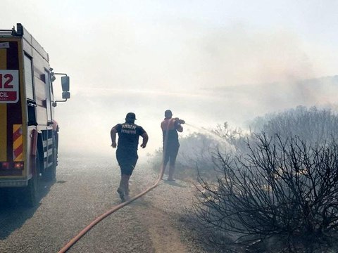 Didim'de makilik ve zeytinlik alanda yangın çıktı