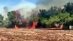 Ceyhan'daki orman yangınına müdahale sürüyor