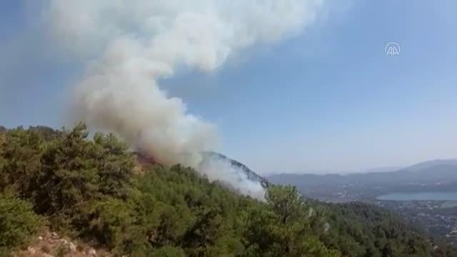 Son dakika haber! Köyceğiz'de çıkan orman yangına müdahale ediliyor