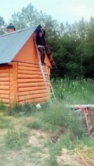 Une tyrolienne installée à la maison n'est pas une bonne idée