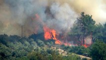Son dakika: Osmaniye'de çıkan orman yangını devam ediyor