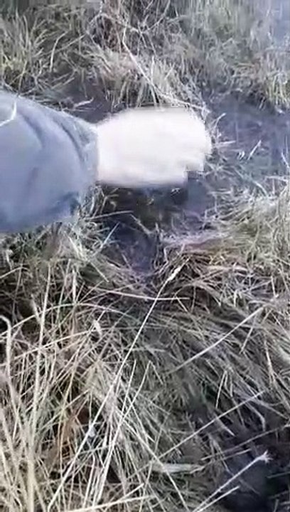 Turistas se encantam com neve em Bom Jardim da Serra