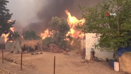 Son Dakika | Yangın bir mahalleye daha sıçradı, vatandaşlar canını zor kurtardı