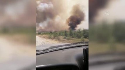 Aladağ'da çıkan orman yangınına müdahale ediliyor (3)