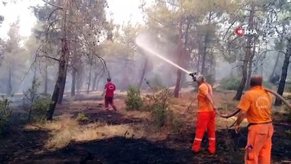 Orman yangını kontrol altına alındı