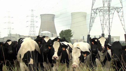 L'energia nucleare può ottenere la definizione di "rinnovabile" dall'Unione Europea?