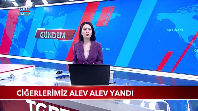 Ciğerlerimiz Yanıyor | Türkiye, Birçok Bölgede Orman Yangınlarıyla Mücadele Ediyor.