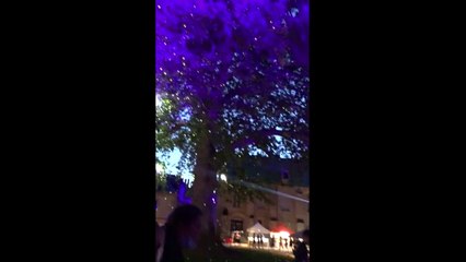 Illuminations de l'arbre  de justice de Bayeux - 2021_