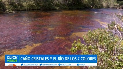 Celebran reapertura de Caño Cristales, una de las maravillas ecológicas de Colombia