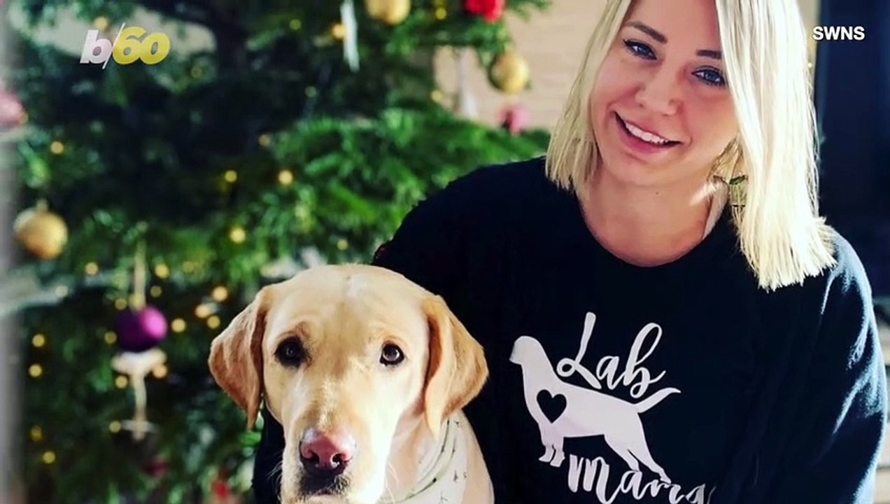 Saving Lives and Looking Cute Doing It! This Dog Can Smell Diabetic Owner’s Blood Sugar Levels!