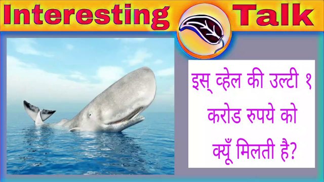 Interesting Facts / व्हेल की उल्टी की किमत / Interesting Facts In Hindi / रोचक तथ्य ।
