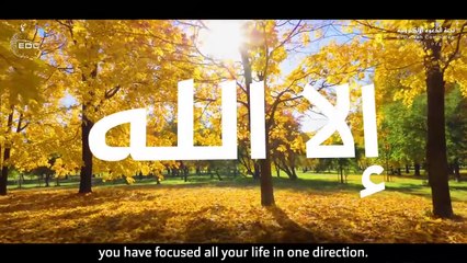 11. الإعتصام بالله  الخروج من المشاكل - من روائع النابلسي Feeling Content with Allah