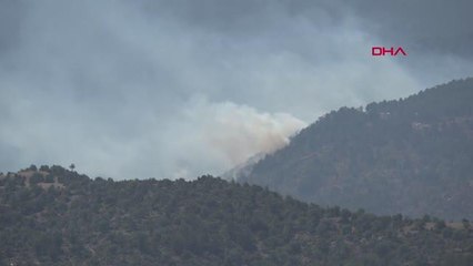 KÜTAHYA'DA ORMAN YANGINI