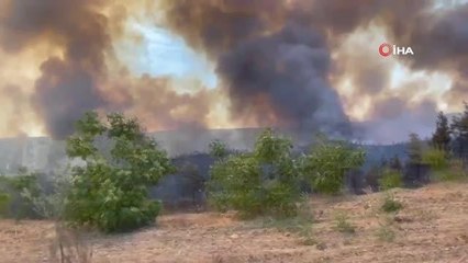 Son dakika: Aladağ'daki yangını söndürme çalışmaları sürüyor