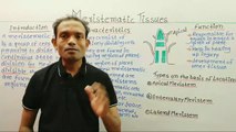 Class 9th biology,Meristematic tissues,ms patel e learning_HD