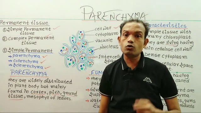 9th biology,tissues,parenchyma tissue,ms patel e learning_HD