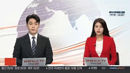 靑, 화상상봉 추진설에 "코로나속 가장 실효적…협의 노력"
