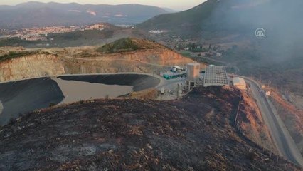 Milas'ta makilik ve zeytinlik alanda çıkan yangın kontrol altına alındı