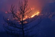 Orman yangınına müdahale sürüyor (7)