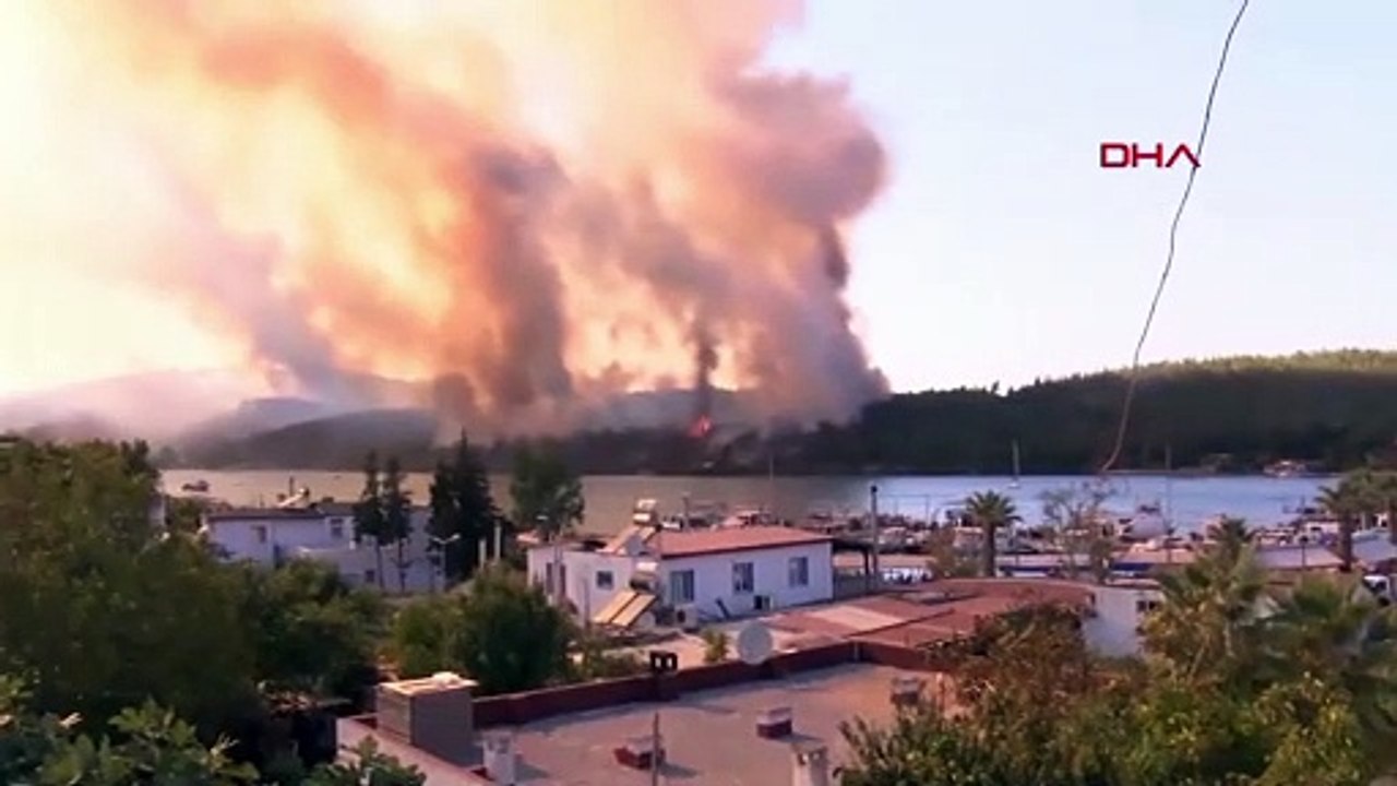 Waldbrände in der Türkei: Kampf gegen mehr als 40 Feuer