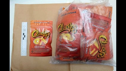 Perquisition (Gracieuseté - Régie intermunicipale de police Roussillon)