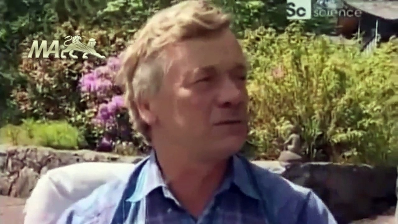 Caçadores de Monstros