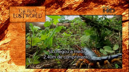 Monte Roraima o mundo Perdido 1