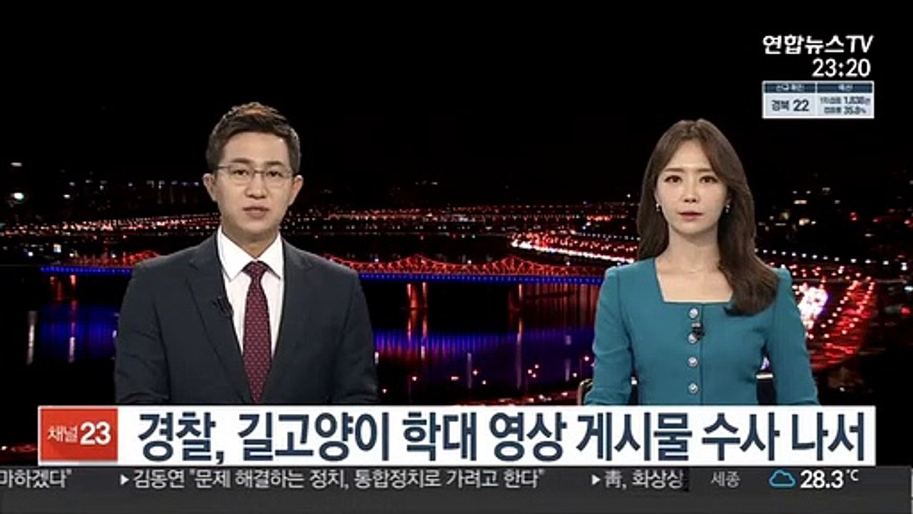 경찰, 길고양이 학대 영상 게시물 수사 나서