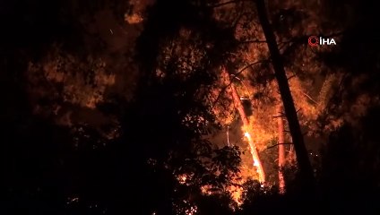 Marmaris’in ciğerleri yanıyor