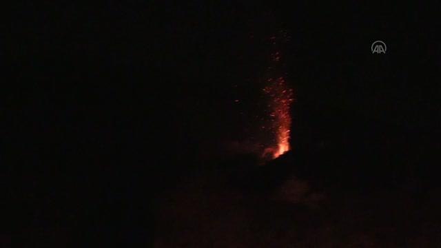 Son dakika... Yüreğir'de makilik ve ormanlık alanda çıkan yangına müdahale ediliyor