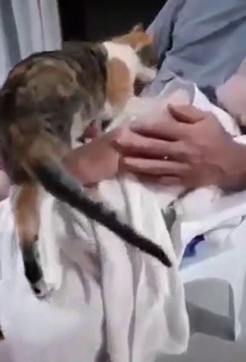 That's why we love cats