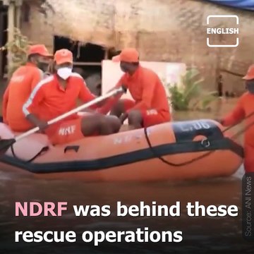 NDRF Personnel Rescue Stranded Dog In Maharashtra’s Kolhapur