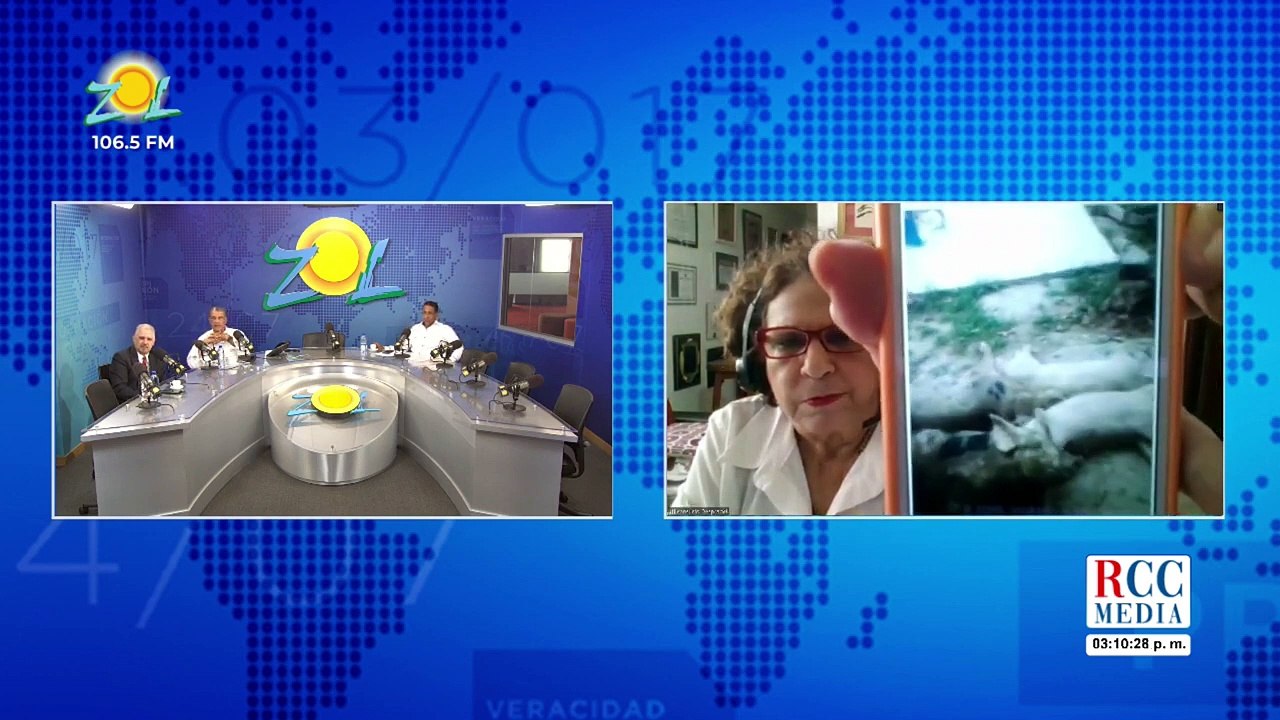 Debate Informe de USA dice que en RD circula la fiebre porcina motivo de las muertes de cerdos